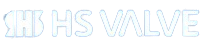 Logo HS Valves
