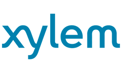 Xylem