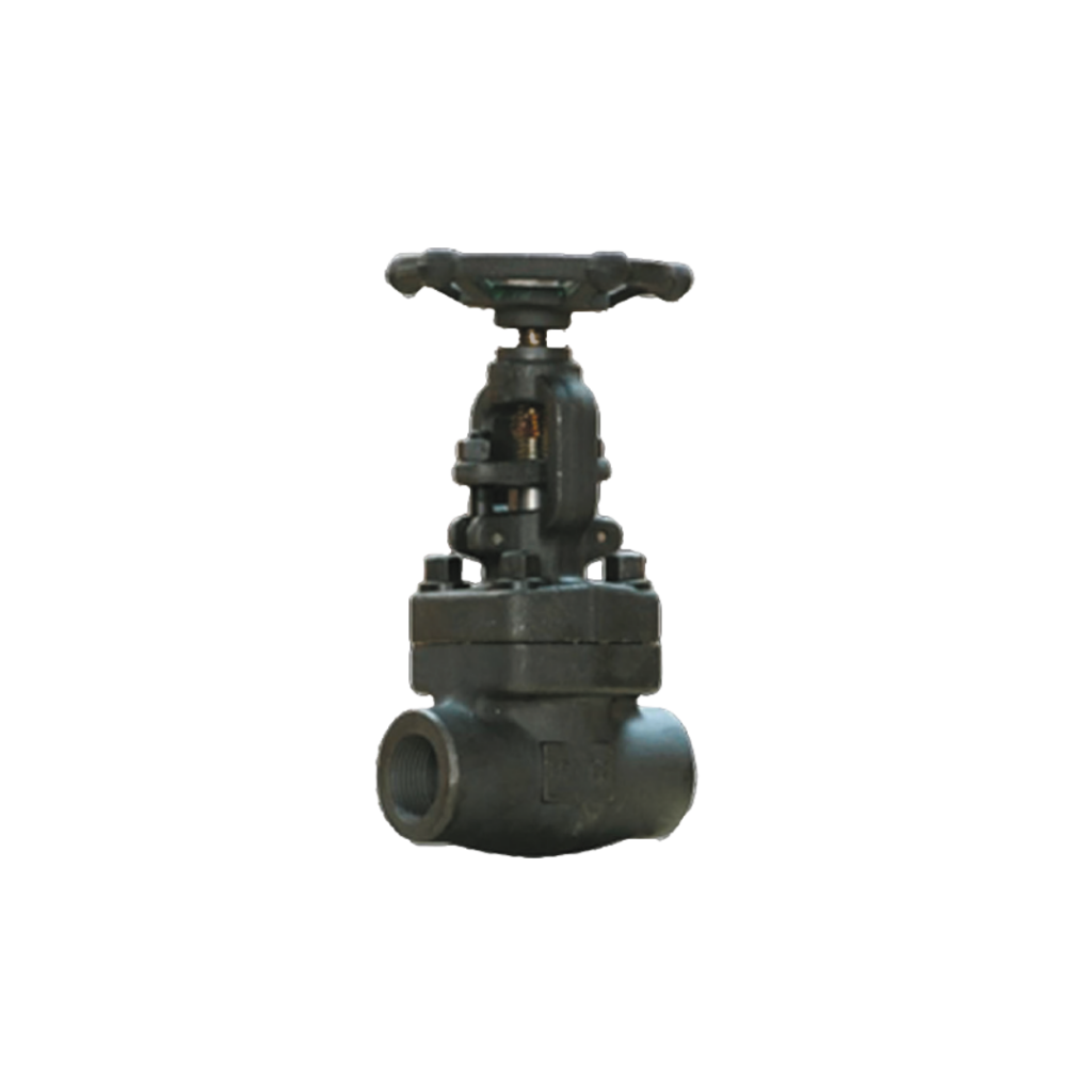 Válvula de retención socket weld - PROTEK