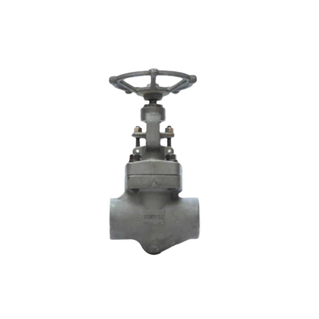 Válvula de compuerta conexión socket weld - PROTEK