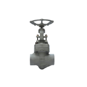 Válvula de compuerta conexión socket weld – PROTEK