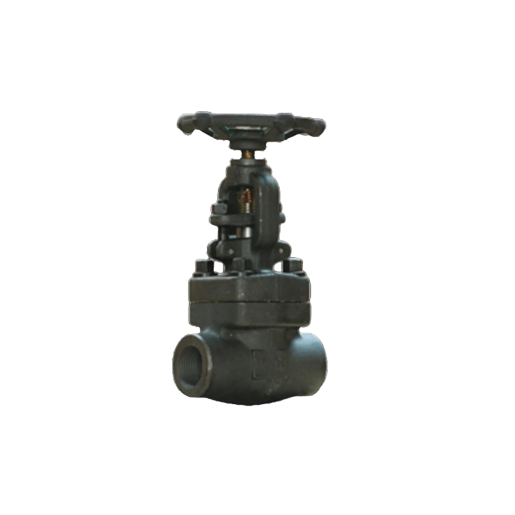 Válvula de globo conexión socket weld - PROTEK